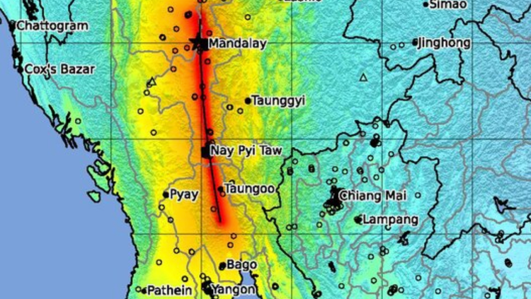 Life on a muban includes earthquakes!